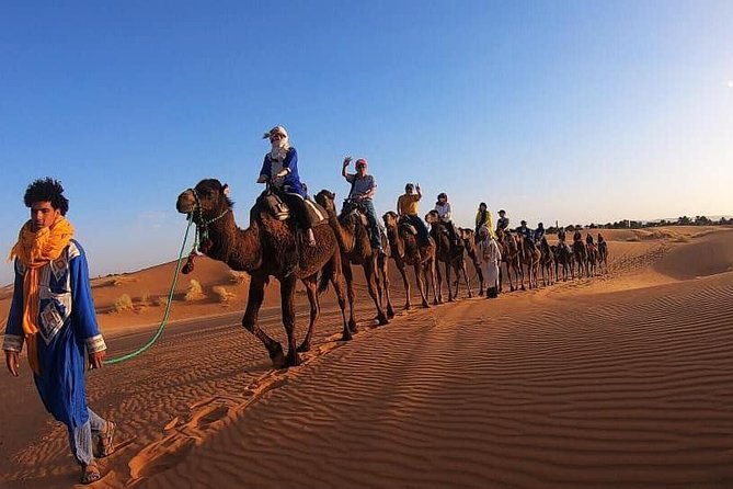 3 Day Sahara Desert Tour From Marrakech - Who should book this Sahara trip?