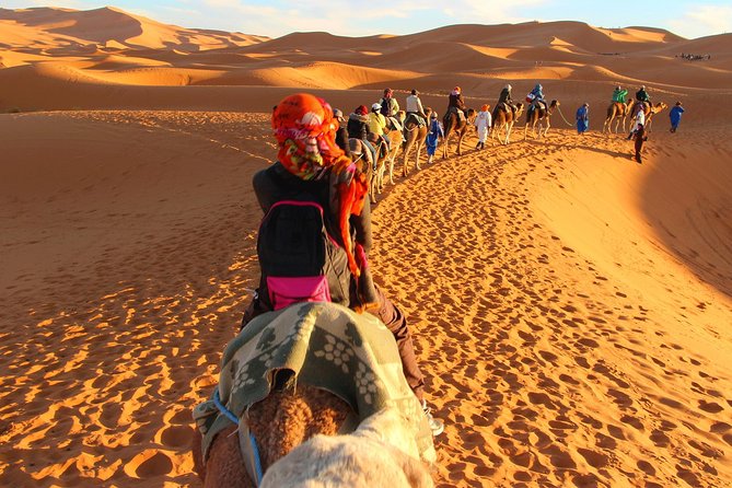 3-Day Tour to Merzouga Erg Chebbi with Food & Camel Trek - Day two: the Road of 1,000 Kasbahs and Todra Gorge