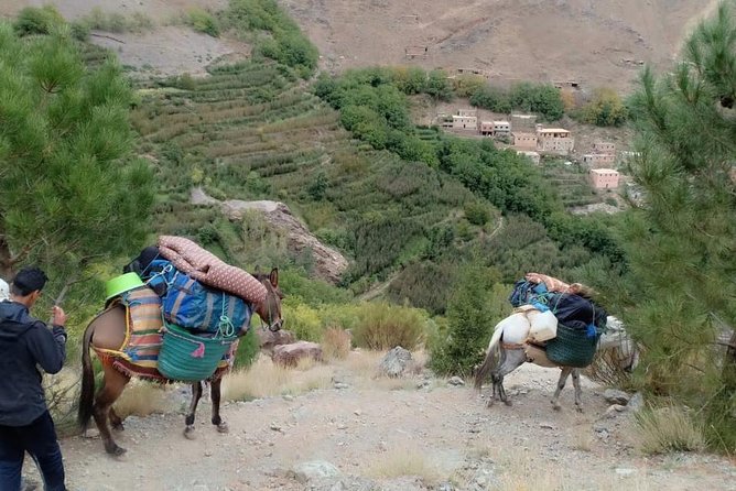 3 Day Trek in the Atlas Mountains and Berber Villages from Marrakech - Leaving Marrakech for Imlil at 9 a.m.