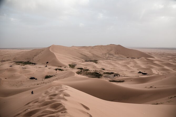 3 Days 2 Nights Desert Tour from Fes to Marrakech via erg Chebbi - The driver can shape the whole trip