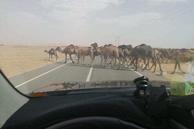 3 Days 2Nights Desert Trip to Fez from Marrakech - Day 1: Marrakech to Ait Ben Haddou over the High Atlas