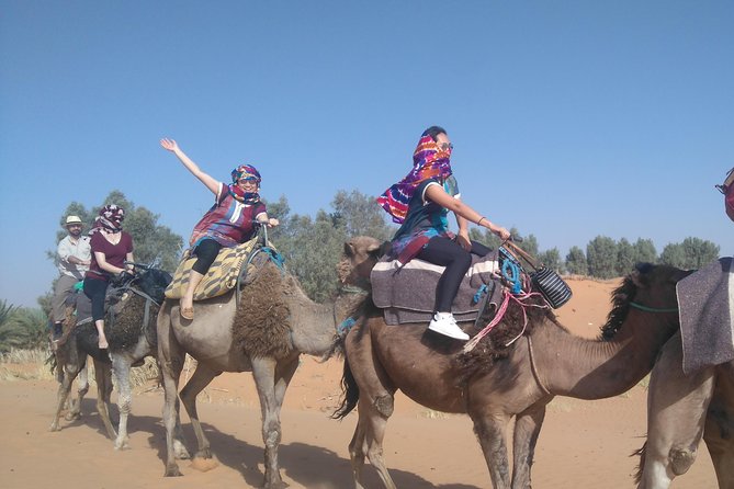 3 Days Desert tour from Fez to Marrakesh via Merzouga Erg chebbi - Day 2: Rissani, Todra Gorge, Dadès Valley, and Ouarzazate