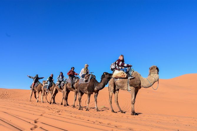 3 Days Desert tour from Fez to Marrakesh via Merzouga Erg chebbi - Guides, vehicles, and the pace of the road