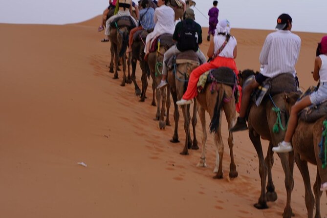3 Days Desert Tour From Marrakech to Merzouga - Todra Gorge and the road toward Merzouga