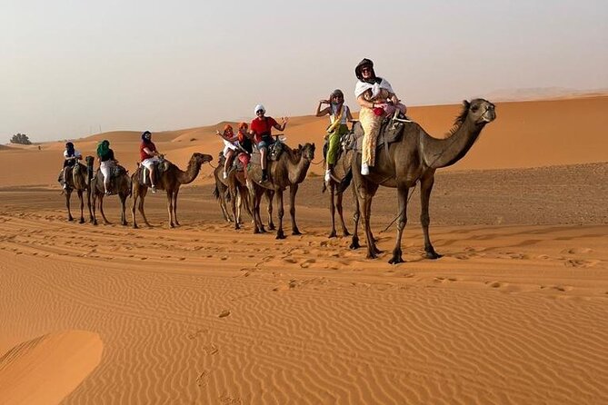 3 Days Desert Tour From Marrakech To Merzouga Dunes & Camel Trek - Todra Gorge and the road to Merzouga