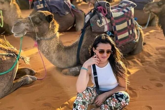 3 Days Desert Tour From Marrakech To Merzouga Dunes & Camel Trek - The guides and group experience