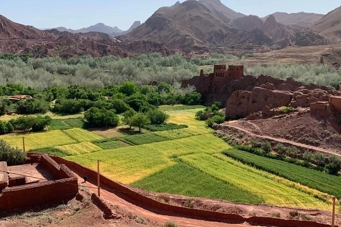 3 Days Fez to Marrakech via Sahara - Erg Chebbi: the trip’s big moment