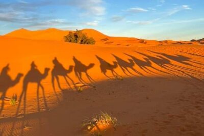 3 Days Group Tour from Marrakech to Merzouga Desert