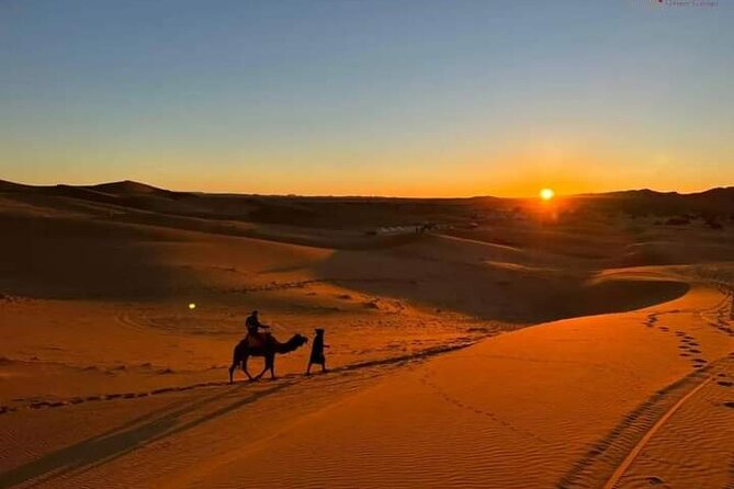 3 Days Group Tour from Marrakech to Merzouga Desert - The local family approach and guide support