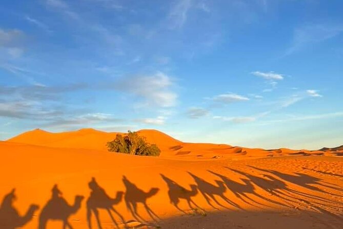 3 Days Group Tour from Marrakech to Merzouga Desert - Who will get the most from this trip