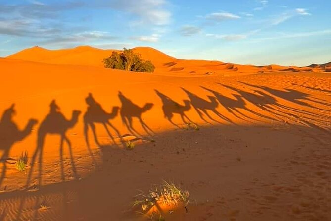 3 Days Group Tour from Marrakech to Merzouga Desert - Day one crosses the High Atlas to Ait Ben Haddou