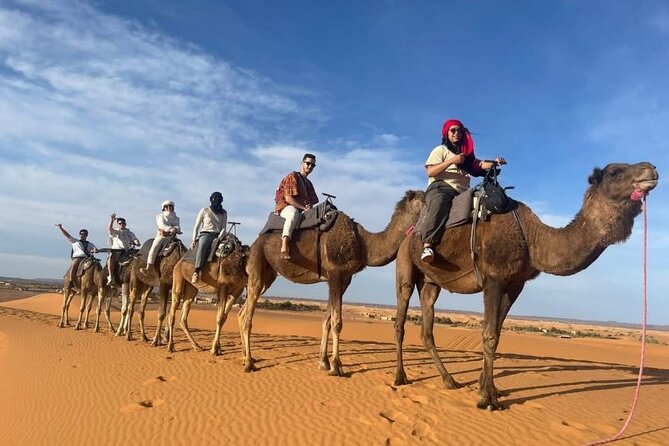 3 Days Luxury Desert Tour From Fes To Marrakech via Merzouga - Day one: Ifrane, cedar forests, and the road to Merzouga