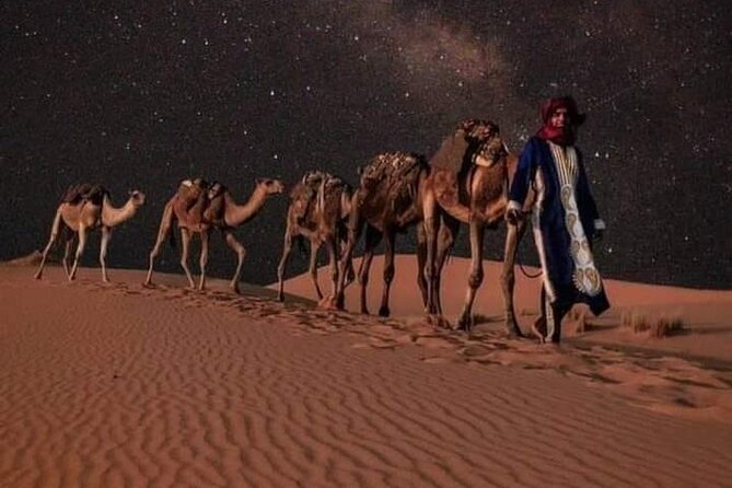 3 Days Luxury Desert Tour From Fes To Marrakech via Merzouga - Day three: Roses, palms, film sets, and the High Atlas