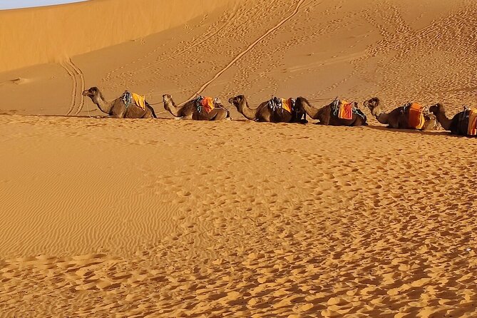 3 Days Luxury Desert Tour From Fes To Marrakech via Merzouga - What to pack and how to handle the pace