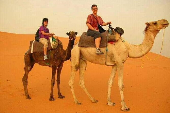 3 Days Luxury Desert Tour From Fes To Marrakech via Merzouga - Should you book the Fes to Marrakech desert tour?