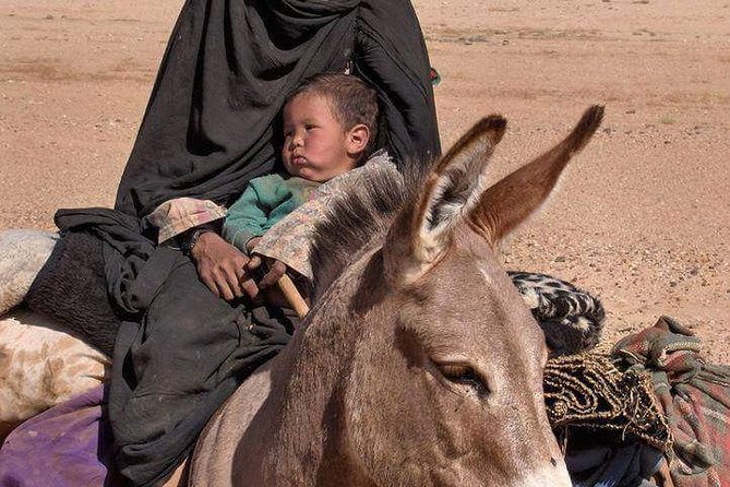 3 Days Marrakech To Fes Desert Tour Via Merzouga - Day three: Sunrise, Ziz Valley, and the long road to Fes