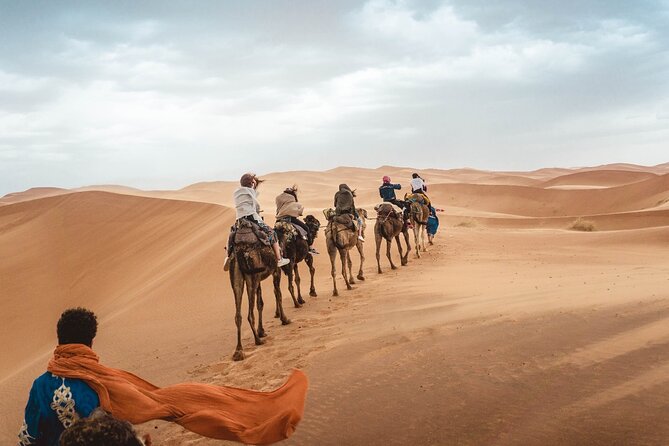 3 Days merzouga desert luxury camp from Fes to Marrakech - Ifrane and Azrou bring a cool start to Day 1