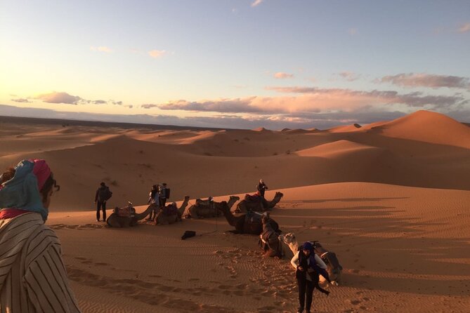 3 Days Morocco Desert Marzouga Tour from Marrakech To Fès - Ait-Ben-Haddou and Telouet’s Faded Grandeur