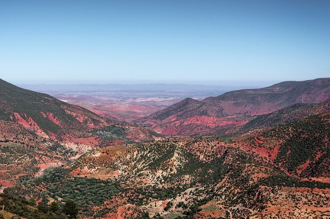 3 Days Sahara Desert Tour from Marrakech to Fes - Azrou’s cedar forest and a brief Ifrane stop