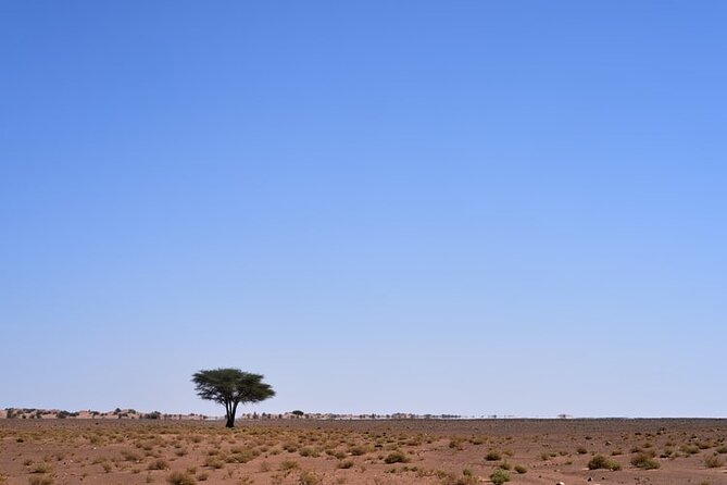 3 Days Sahara Desert Tour from Marrakech to Fes - Todra Gorge and the approach to Merzouga