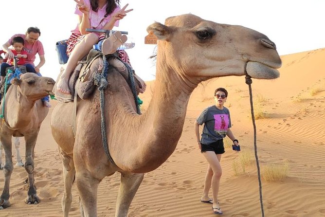 3 Days Sahara tour from Marrakesh - Day One: Marrakech to Ait Ben Haddou and the Todgha Gorge