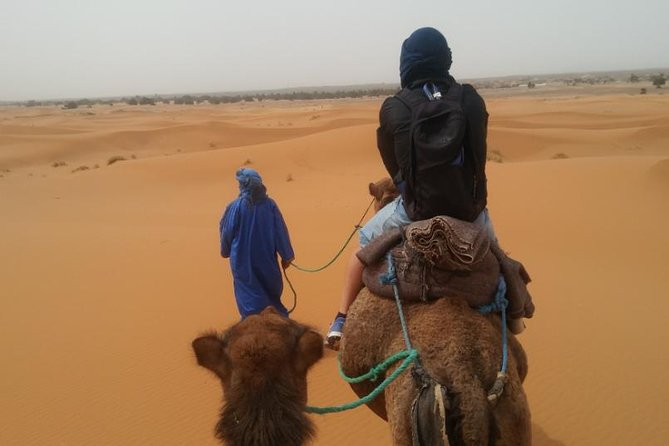 3-days shared Merzouga desert tour from Marrakech - Sunset by camel at Erg Chebbi