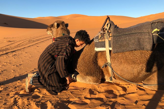 3 Days Shared Sahara Desert Tour From Marrakech - Day 2: Todra Gorge, dates, fossils, and Merzouga