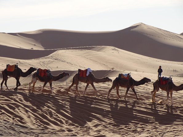 3 days tour from Marrakech to Merzouga - The Merzouga camel trek after a long day