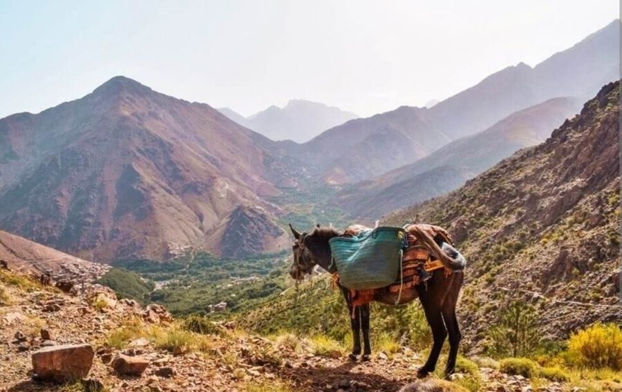 3 Days Trek Atlas Mountains Berber Villages from Marrakech - The real cost and what is included