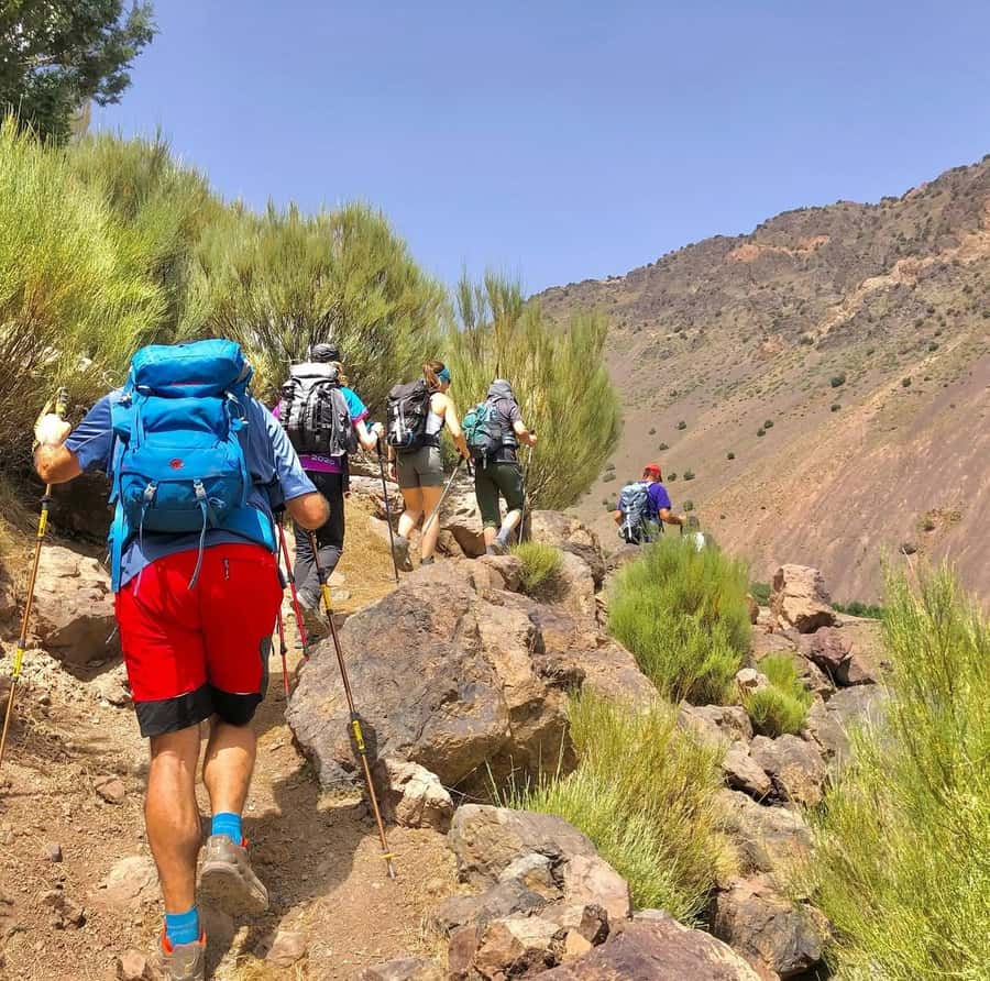 3 Days Trek Atlas Mountains Berber Villages from Marrakech - Day two: Mzik Pass and Tamsoult Waterfalls