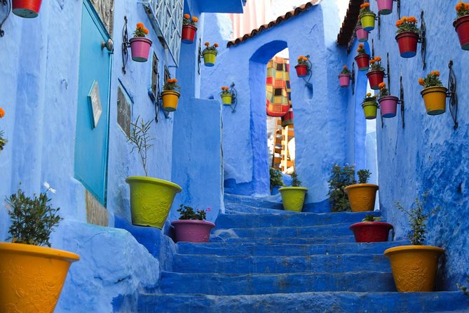 3-Days Trip from Marrakech to Chefchaouen via Imperial Cities - Ifrane and the cedar forest