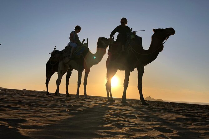 3-hour camel ride at sunset - Riding through the sunset toward Diabat