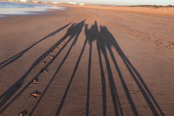 3-hour camel ride at sunset - The tea stop and the Jimmy Hendrix Cafe