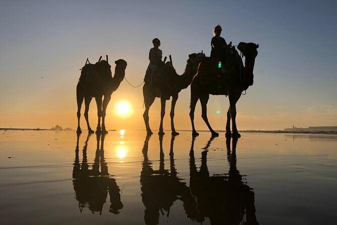 3-hour camel ride at sunset - Photos, scenery, and the best time to look up