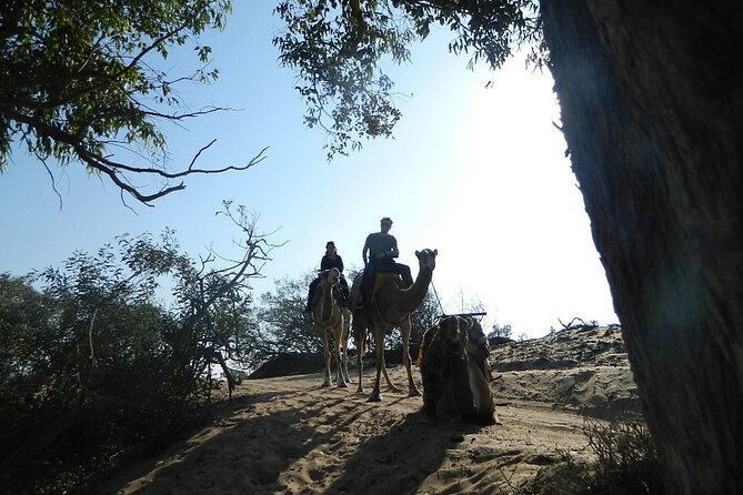 3 hours Camel Ride in Essaouira, beach and dunes - Essaouira Beach by camel