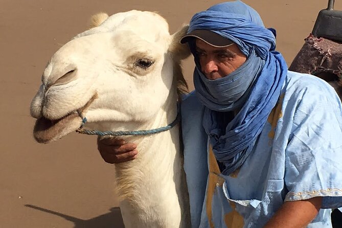 3 hours Camel Ride in Essaouira, beach and dunes - Dunes, eucalyptus, and mimosa