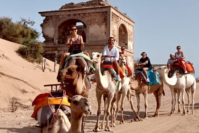 3 hours Camel Ride in Essaouira, beach and dunes - What the guide adds