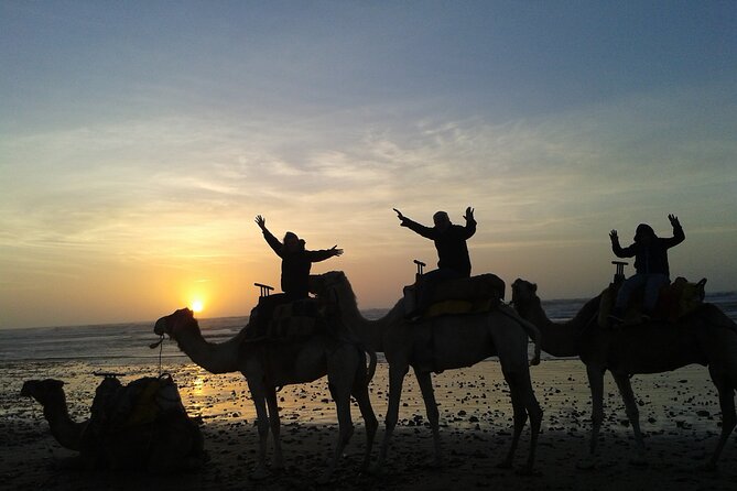 3 hours Camel Ride in Essaouira, beach and dunes - The ruins near Diabat and the Portuguese Castle