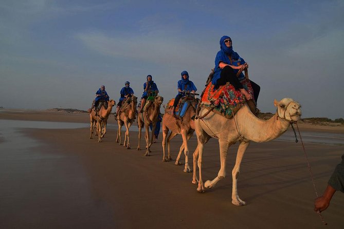 3 hours ride on camel at sunset - Meeting the camels outside Essaouira