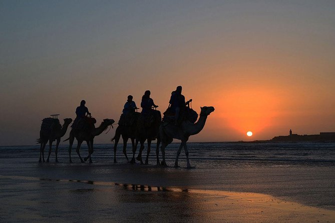 3 hours ride on camel at sunset - Diabat village and the old sultan’s ruins