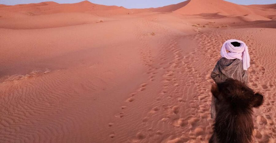 3D Deluxe Experience: Marrakech to Merzouga w/ Quad Option - Guides, drivers, and the shared group experience