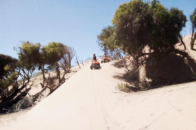 3h quad bike: Thrills in the beach and dunes - Who will enjoy this most?