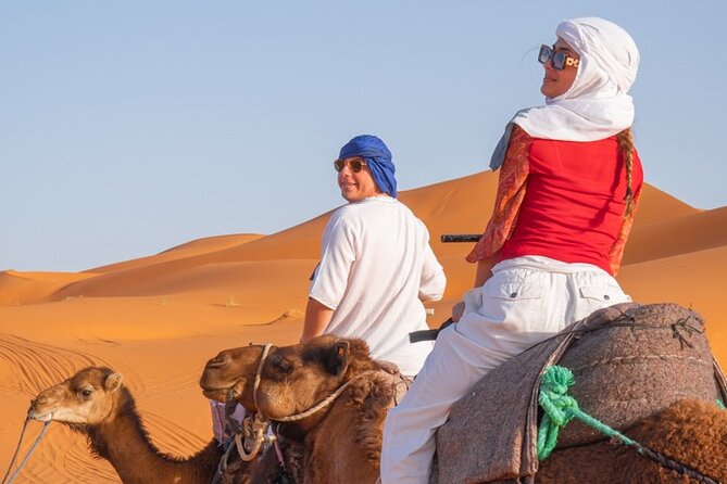 4 Day Authentic Desert Tour From Fes To Marrakech - Who Should Book This Fes to Marrakech Tour?