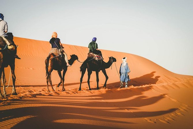 4-Day Guided Desert Tour from Marrakech - Who will enjoy this route most