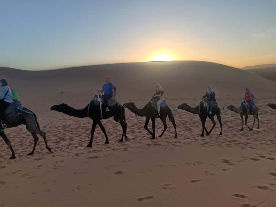 4-Day Marrakech to Merzouga Sahara Adventure & Camel Trek - Who should book this desert trip?