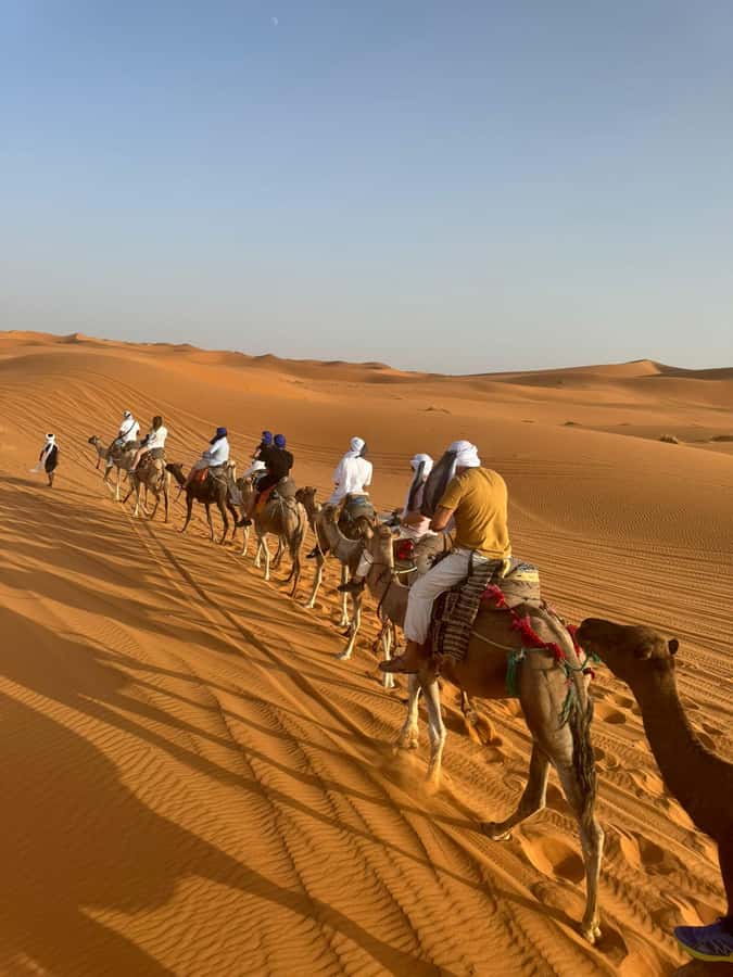 4-Day Marrakech to Merzouga Sahara Adventure & Camel Trek - Day two: Todra Gorge before the Sahara