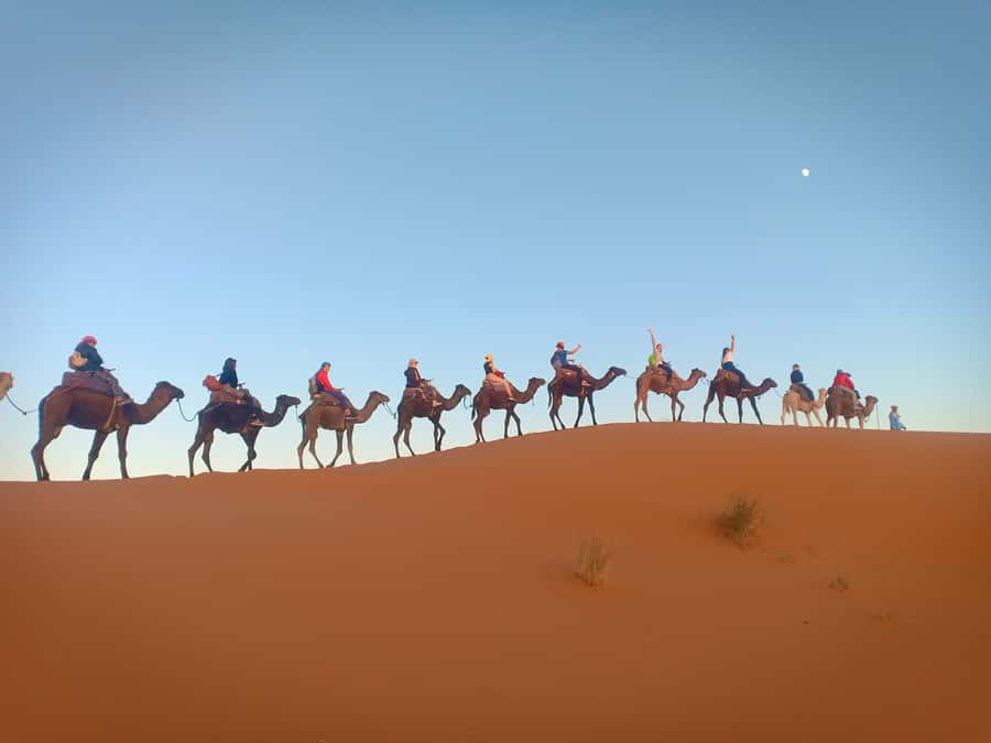 4-Day Marrakech to Merzouga Sahara Adventure & Camel Trek - Day four: Back across the Atlas to Marrakech