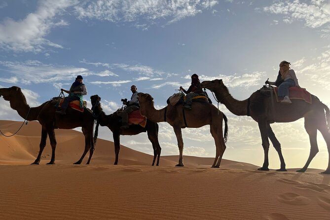 4-Days Adventures from Marrakech to Fez via Gorges & Desert - The driving, vehicle, and group experience