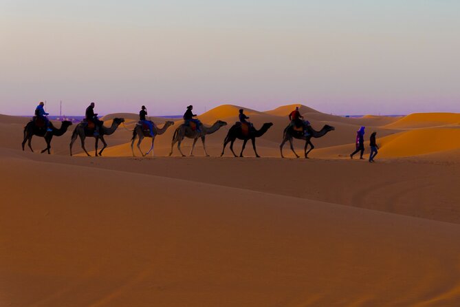 4 Days Desert Safari Tour from Marrakech to Merzouga - Day 1: Crossing the High Atlas to Ait-Ben-Haddou