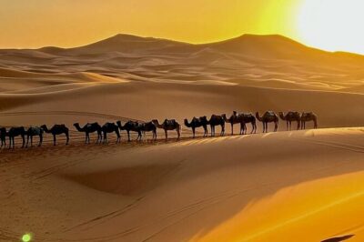 4 Days Desert Tour From Marrakech to Fes via Merzouga Dunes